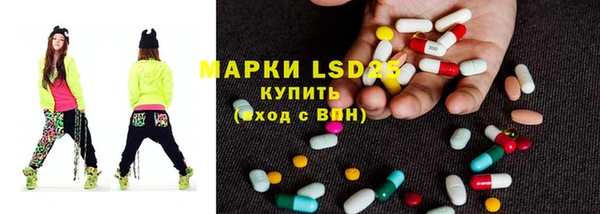 PSILOCYBIN Армянск